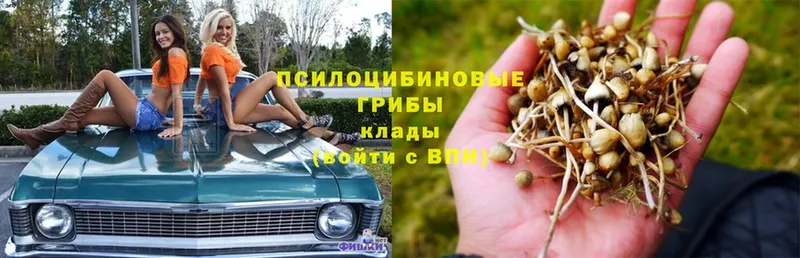 Галлюциногенные грибы Magic Shrooms  shop наркотические препараты  Апшеронск  как найти  