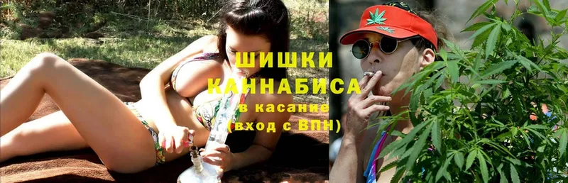 закладки  Апшеронск  shop официальный сайт  Каннабис Ganja 